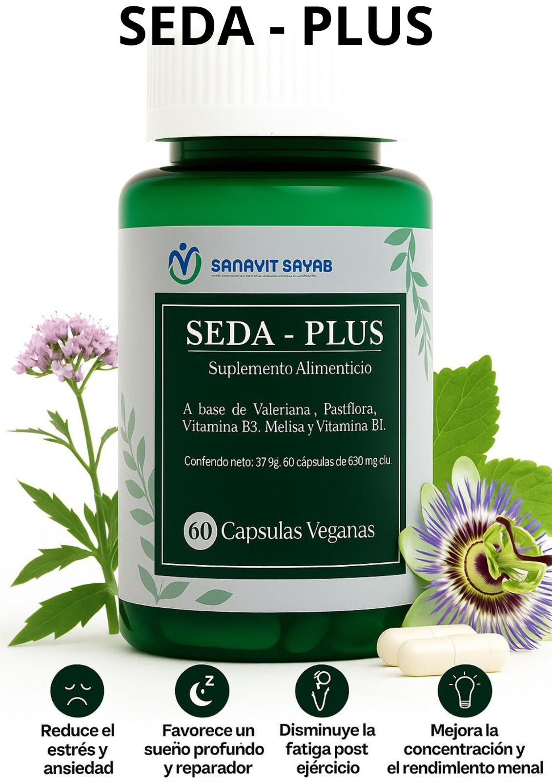 SEDA PLUS